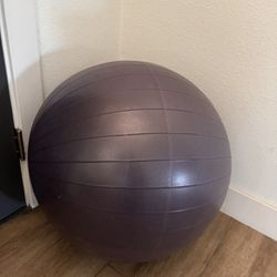 Large Yoga/Exercise Ball