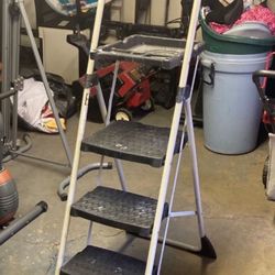 Ladder For Painting Jobs $60
