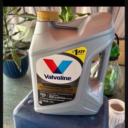 $31A Gallon Firm.