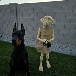 Dobby Statue 