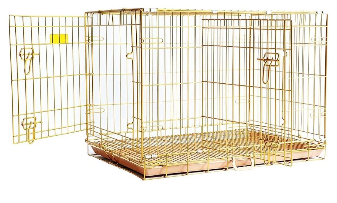Golden Color Medium DOG Crate