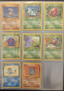 Pokemon Jungle Lot