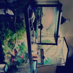 Tanks And More!!!! 