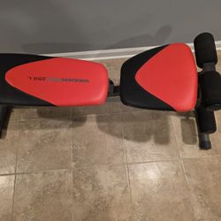 Weider Pro 255 L ab bench