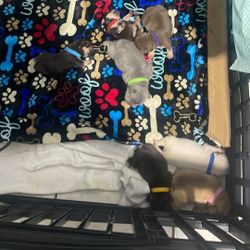 Jordan And Yeezys Travis Supreme Hype