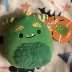 Callum 4.5 Squishmallow 