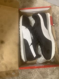 Pumas