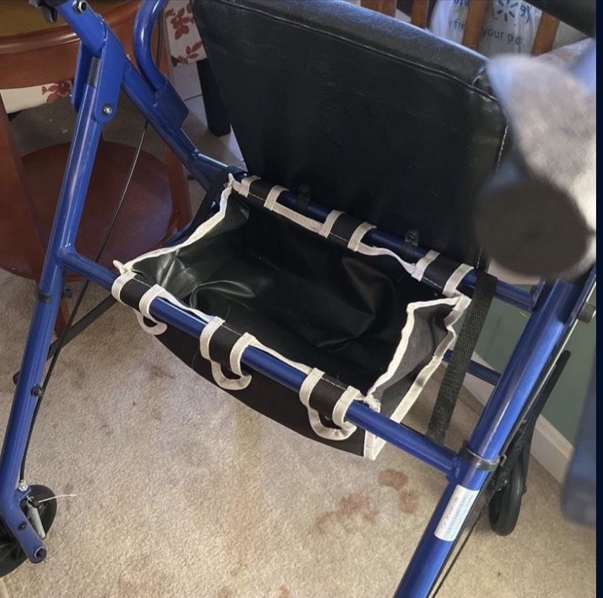 Walker With Brakes (blue)