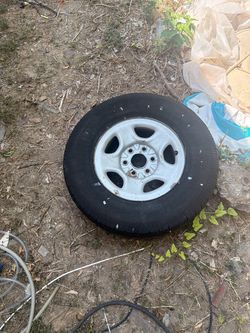 Rim 16