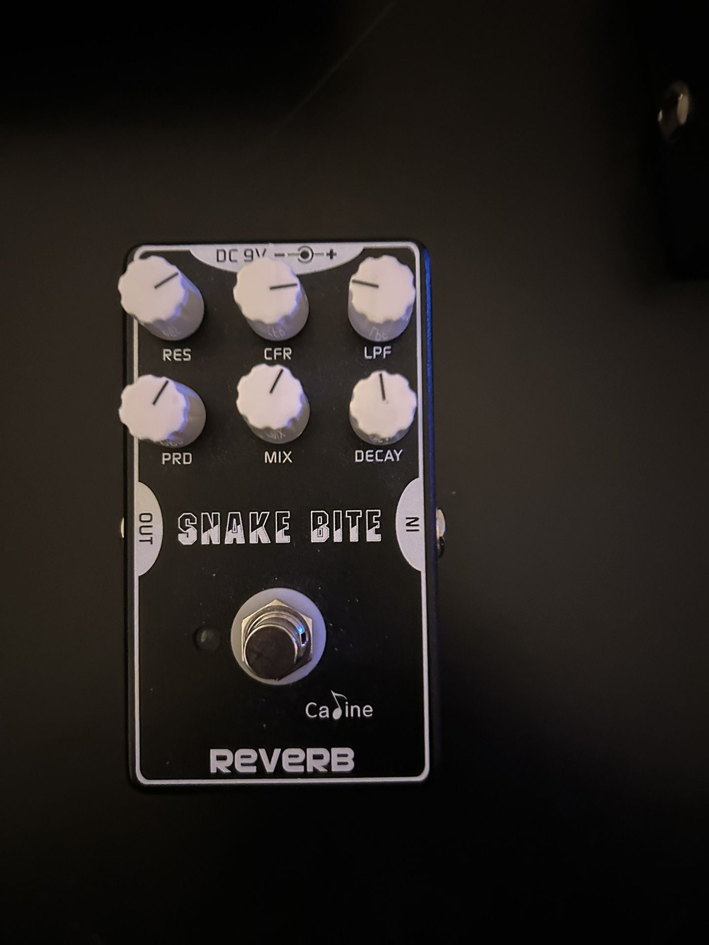 Snake Bite Reverb 