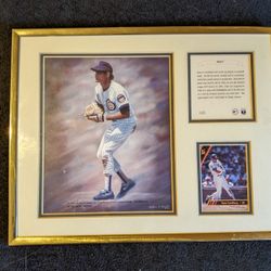 Ryan Sandberg 1992/93 Picture Collage Sports Illustrated