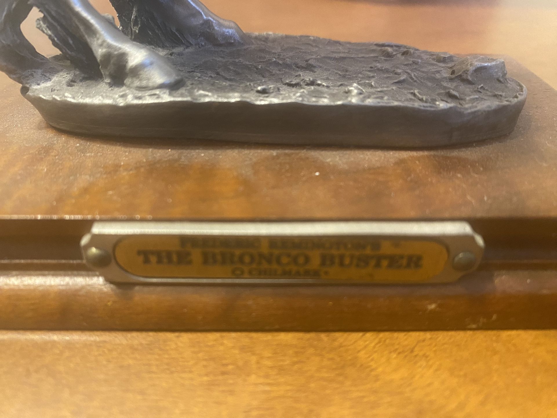 THE BRONCO BUSTER