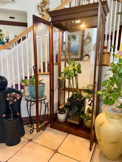 Wooden Arched Curio Cabinet Plant Display with Interior Lighting