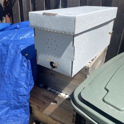 2024 Bee Nucs And Hives For Sale
