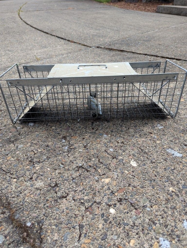 Small Animal Trap