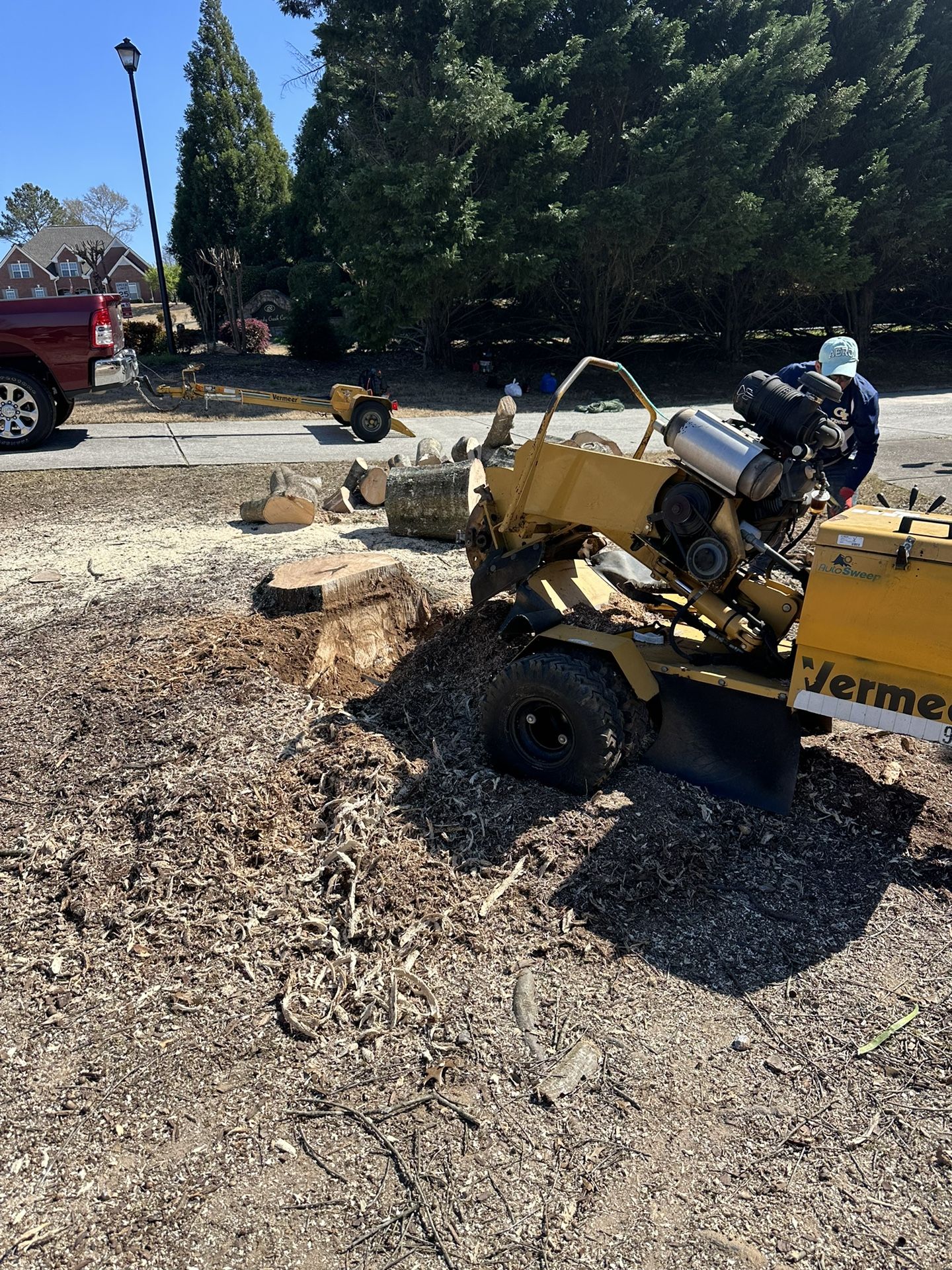 Stump Grinding