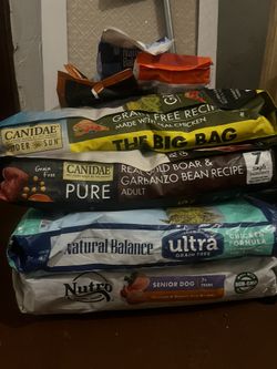 Dog Food 