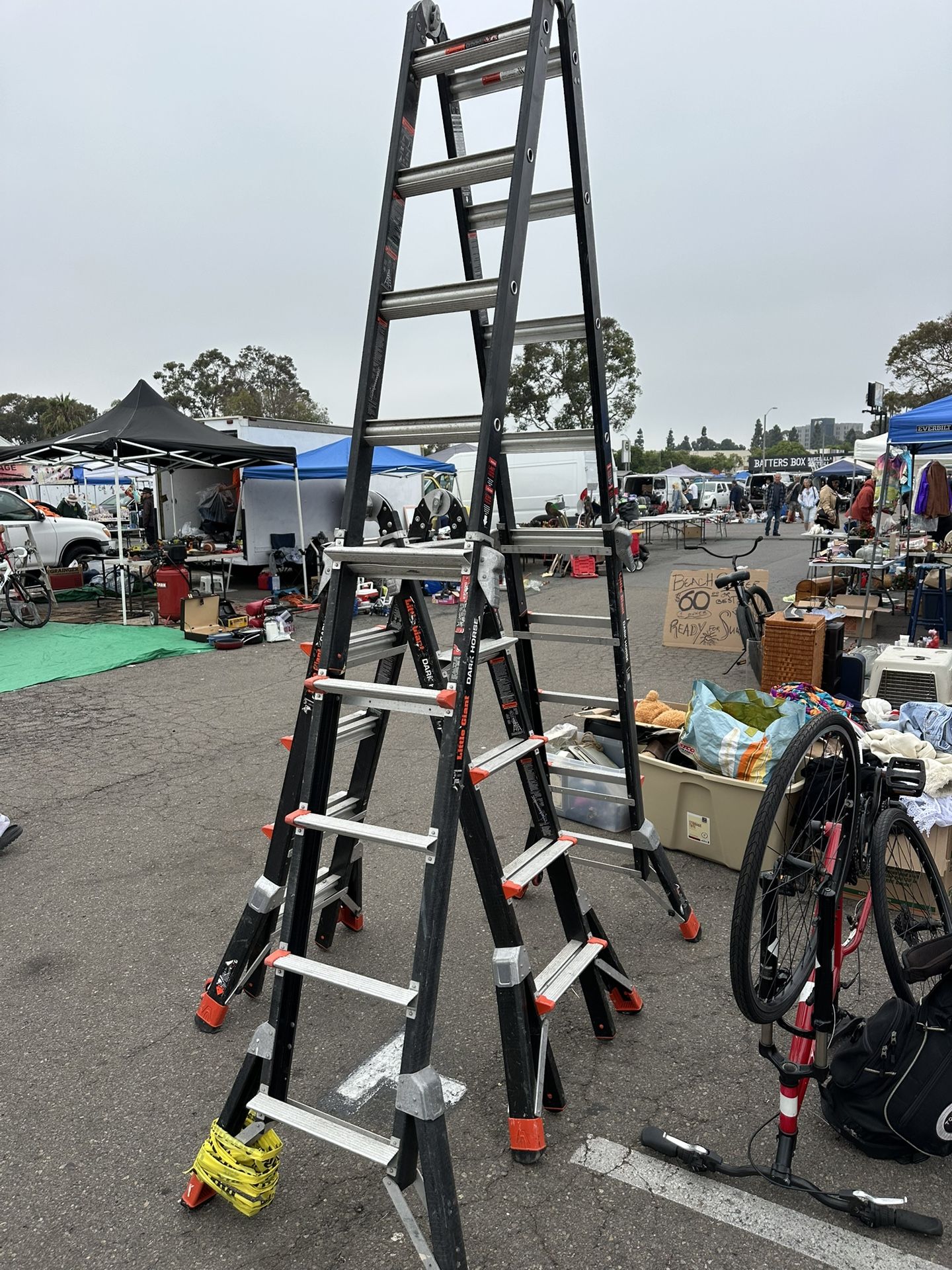 Little Giant Dark Horse Ladder