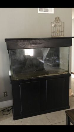 Fish Tank 75