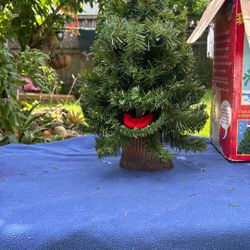Vintage Douglas For The Talking Tree/Christmas Tree