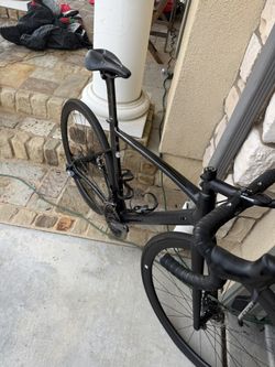 2019 Peter Sagan Edition Roubaix