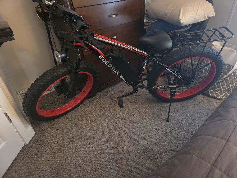 Electric Bike