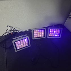 Uv Curing Lights