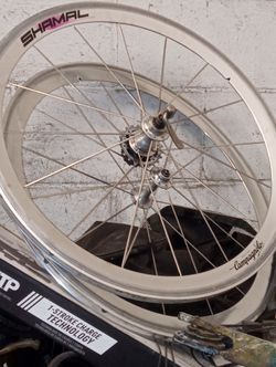 Campagnolo Shamal Road Bike Wheel