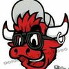 El Toro Loco hat's