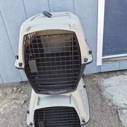 Trouble cages for dogs