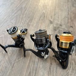 Shimano. Daiwa 