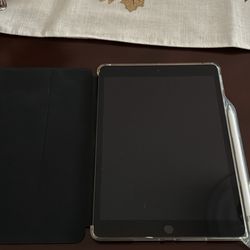 Apple iPad