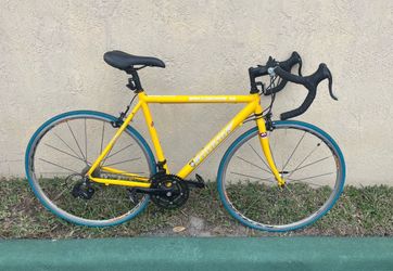Windsor Wellington 2.0 Road Bike