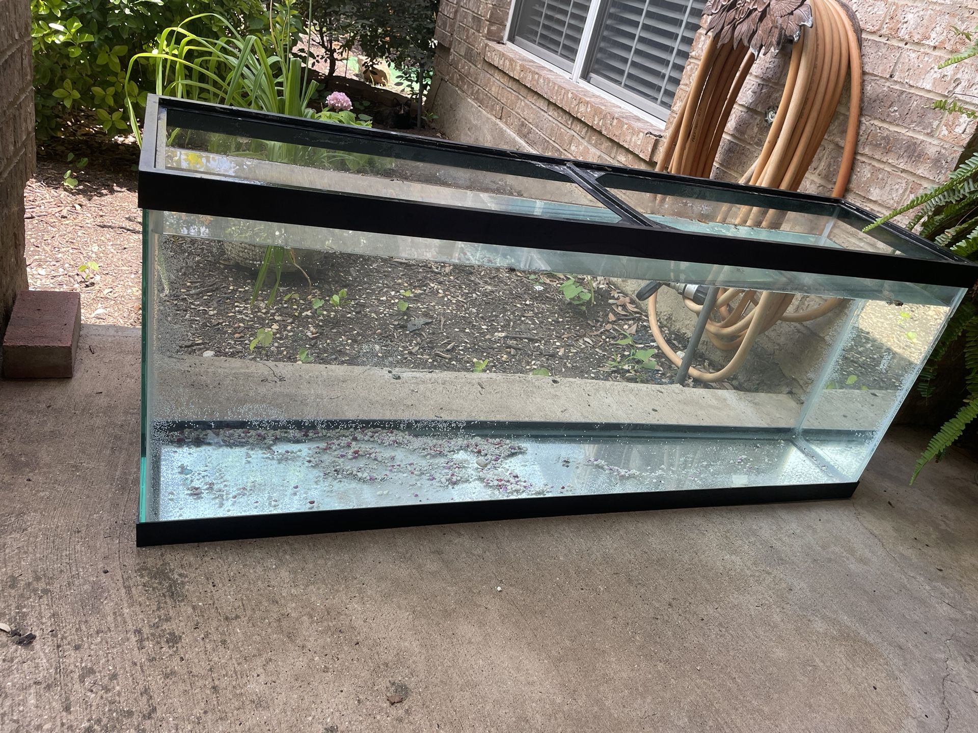 55 Gallon Fish Aquarium