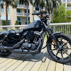 2022 Harley Davidson Iron 883 Only 81 Miles ** Yes Financing **