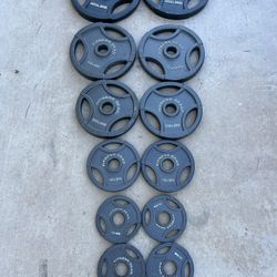 Fitness Gear Olympic Weight Plate Set 250lbs