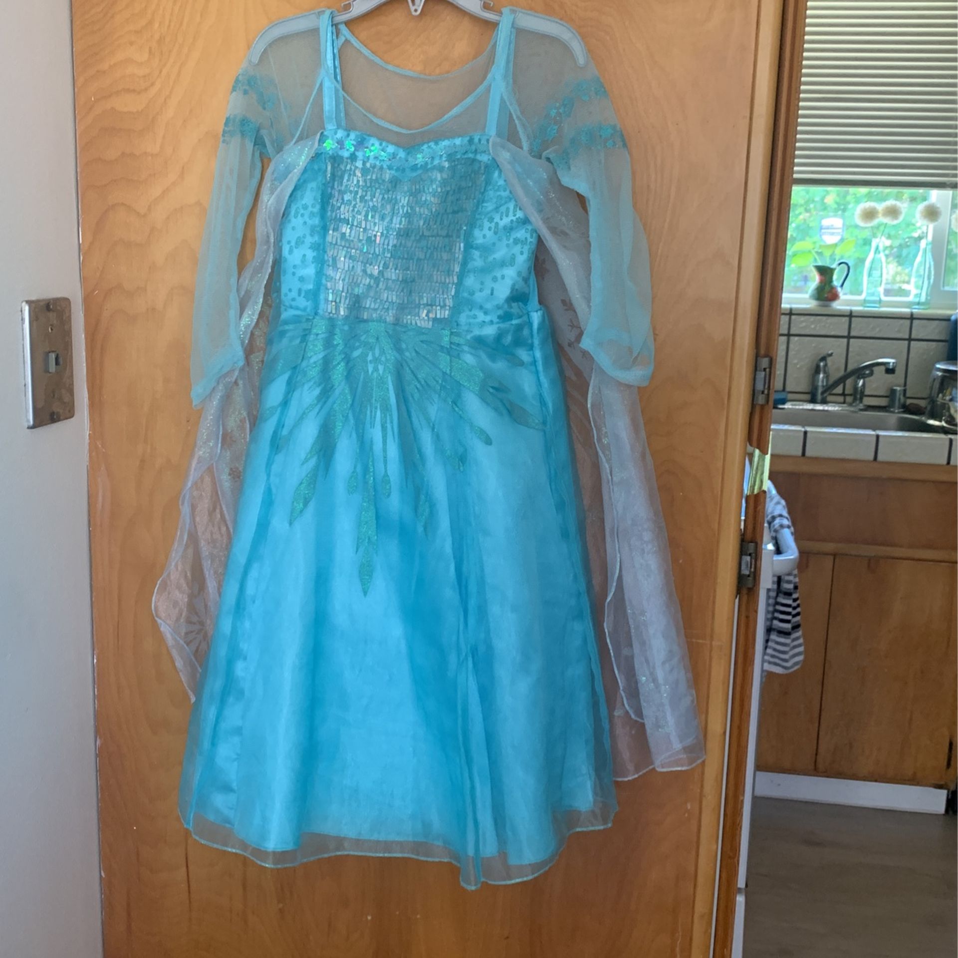 Frozen Elsa Costume