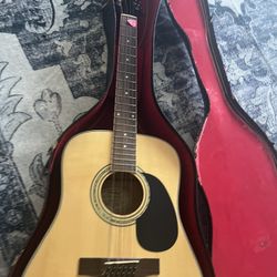 12 String Autistic  Electric Guitar Mitchell 