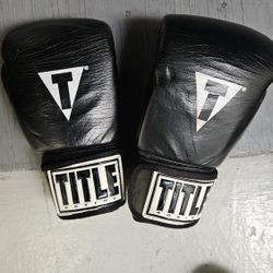 Title Boxing Glove Small/Medium Size 