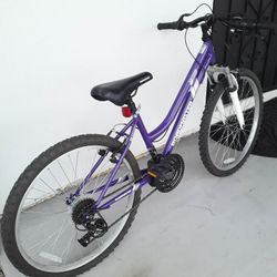 Bicycle 24 Inches Rim Size