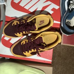 College Dunks