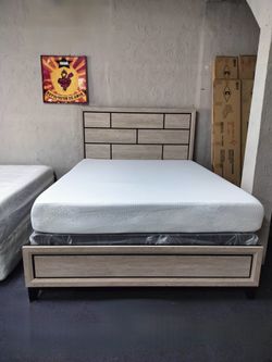 Queen Size Bed 