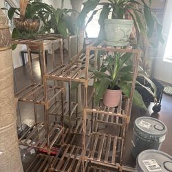 Plant stand with three corn plants and vintage pots
