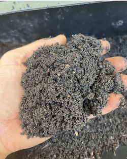 Local Worm Castings For Sale