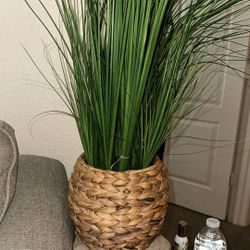 Brand New Sea Grass Fake Plant 
