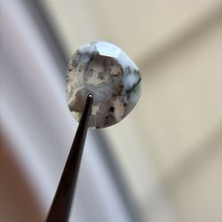 Dendritic opal rose cut pair