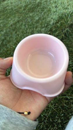 Little food bowl drink as well