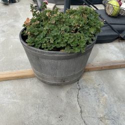 Plant Barrel