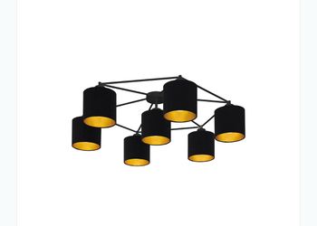 6-Light Black and Gold Ceiling Light Fixture