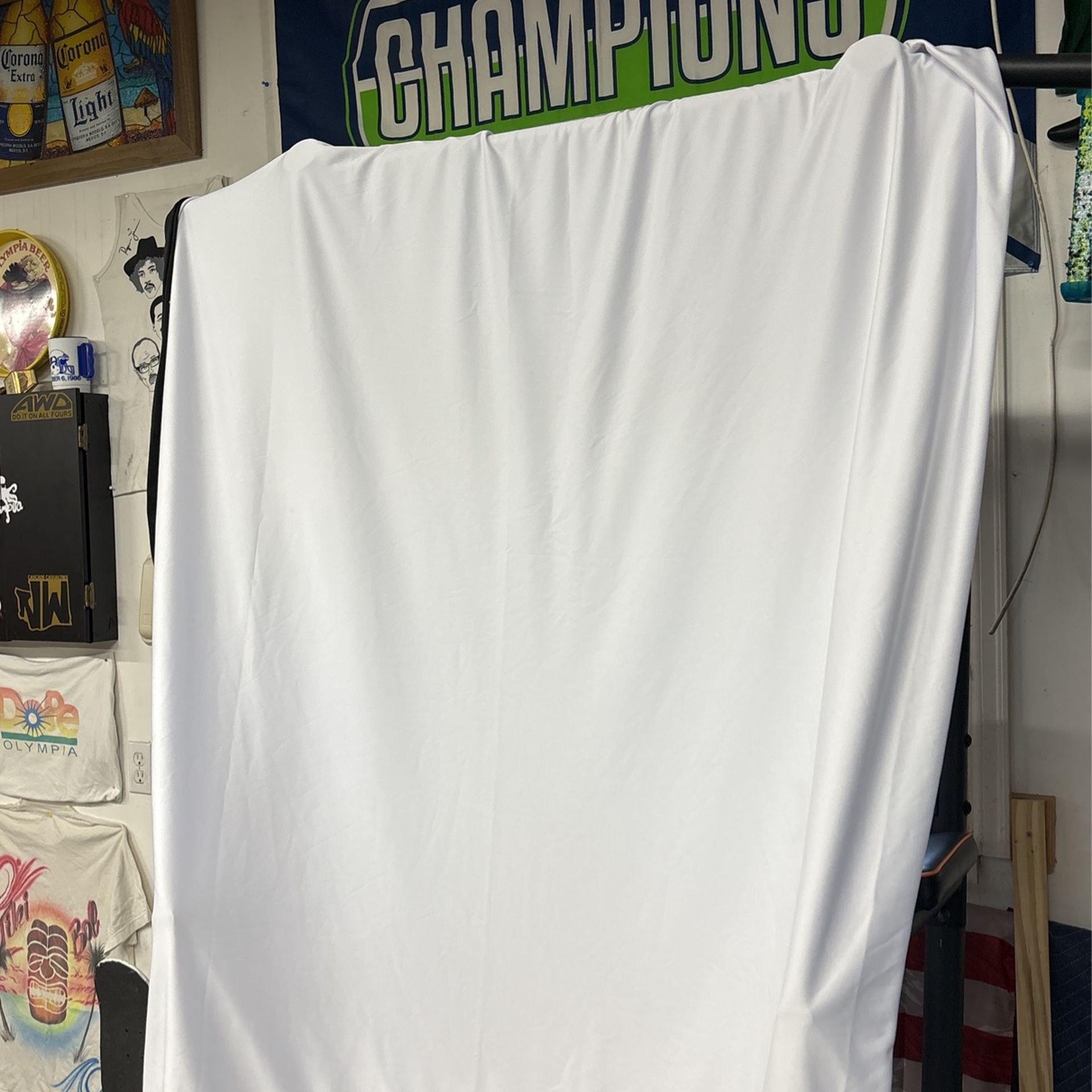 Projector Screen